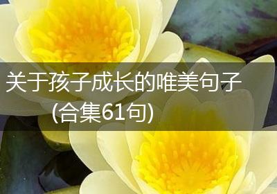 关于孩子成长的唯美句子(合集61句)