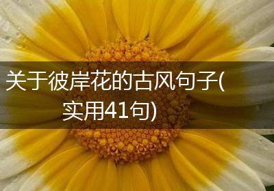 关于彼岸花的古风句子(实用41句)