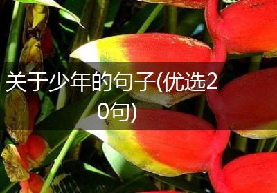 关于少年的句子(优选20句)
