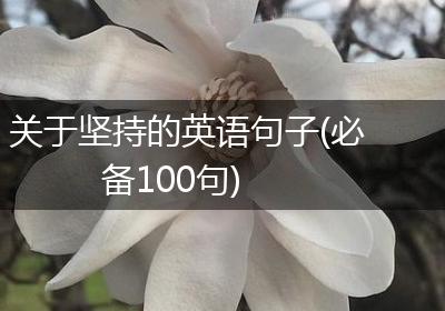 关于坚持的英语句子(必备100句)