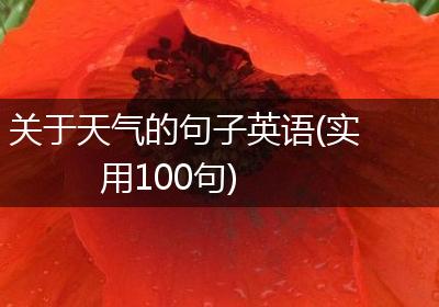 关于天气的句子英语(实用100句)