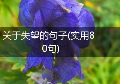 关于失望的句子(实用80句)