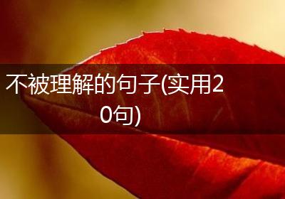 不被理解的句子(实用20句)