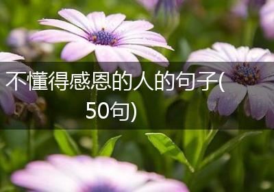不懂得感恩的人的句子(50句)