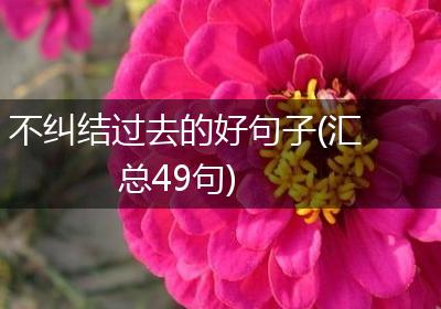 不纠结过去的好句子(汇总49句)