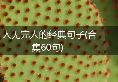 人无完人的经典句子(合集60句)