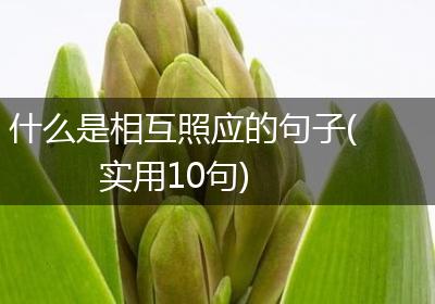 什么是相互照应的句子(实用10句)