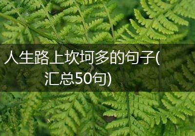 人生路上坎坷多的句子(汇总50句)