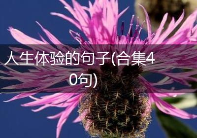 人生体验的句子(合集40句)