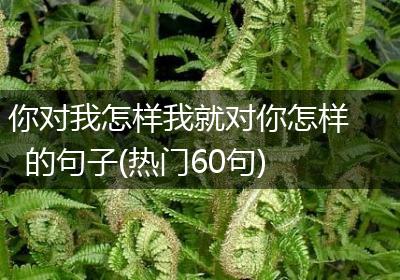 你对我怎样我就对你怎样的句子(热门60句)