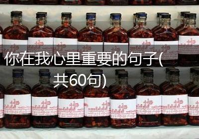 你在我心里重要的句子(共60句)