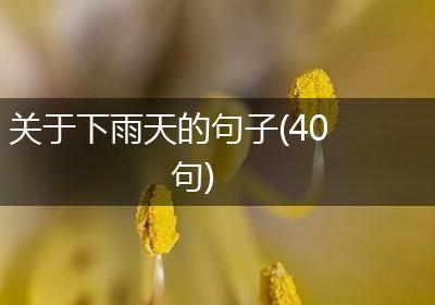 关于下雨天的句子(40句)