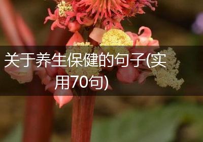 关于养生保健的句子(实用70句)