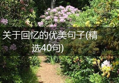 关于回忆的优美句子(精选40句)