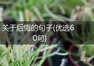 关于后悔的句子(优选60句)