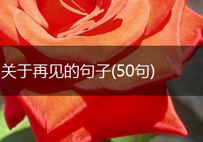 关于再见的句子(50句)