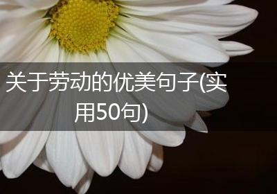 关于劳动的优美句子(实用50句)