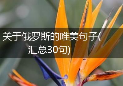 关于俄罗斯的唯美句子(汇总30句)