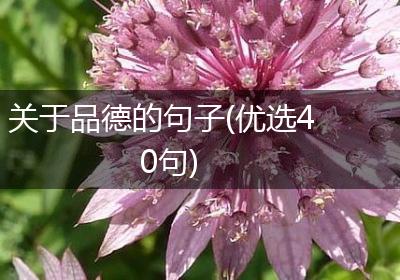 关于品德的句子(优选40句)
