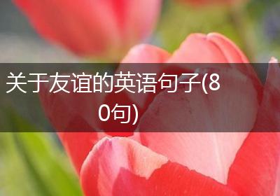 关于友谊的英语句子(80句)