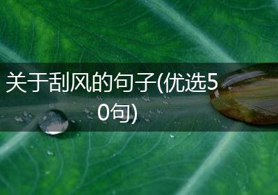 关于刮风的句子(优选50句)