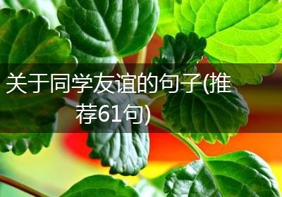 关于同学友谊的句子(推荐61句)