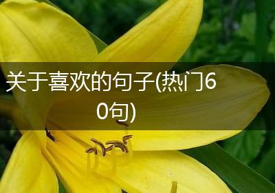 关于喜欢的句子(热门60句)