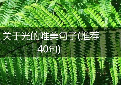 关于光的唯美句子(推荐40句)