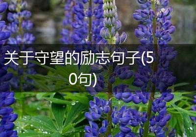 关于守望的励志句子(50句)
