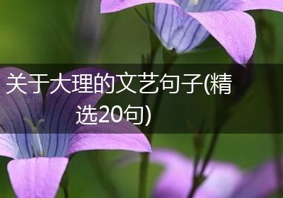 关于大理的文艺句子(精选20句)