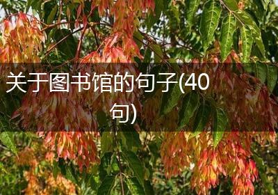 关于图书馆的句子(40句)