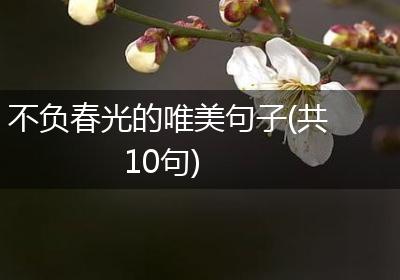 不负春光的唯美句子(共10句)