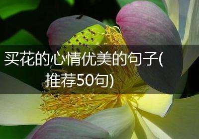 买花的心情优美的句子(推荐50句)