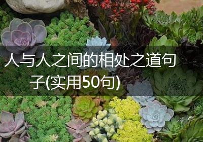 人与人之间的相处之道句子(实用50句)