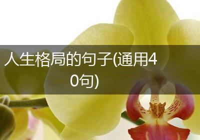 人生格局的句子(通用40句)