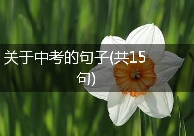 关于中考的句子(共15句)