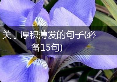关于厚积薄发的句子(必备15句)