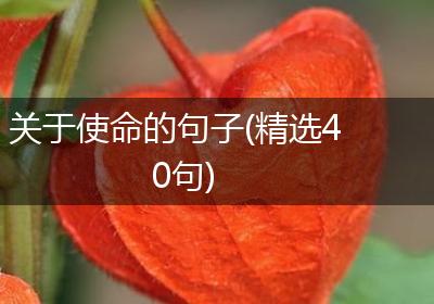 关于使命的句子(精选40句)