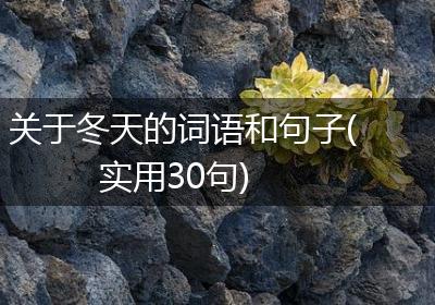 关于冬天的词语和句子(实用30句)