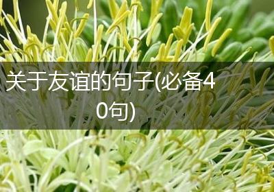 关于友谊的句子(必备40句)