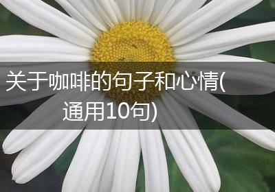 关于咖啡的句子和心情(通用10句)