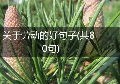 关于劳动的好句子(共80句)