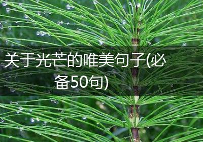 关于光芒的唯美句子(必备50句)