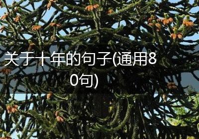 关于十年的句子(通用80句)