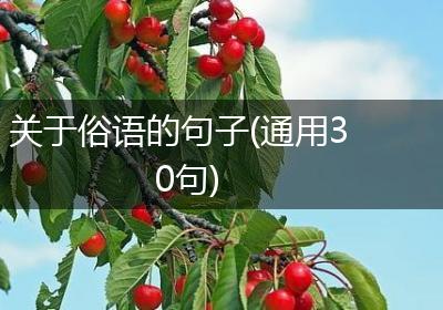 关于俗语的句子(通用30句)