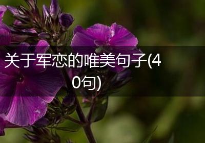 关于军恋的唯美句子(40句)