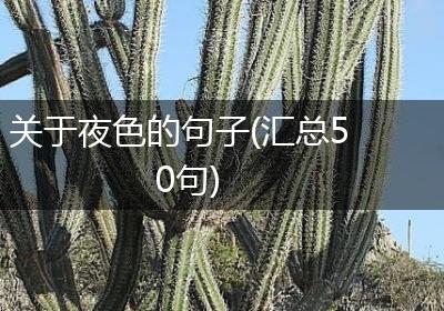 关于夜色的句子(汇总50句)