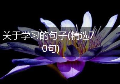 关于学习的句子(精选70句)