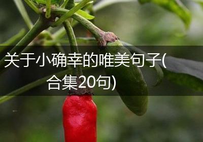 关于小确幸的唯美句子(合集20句)