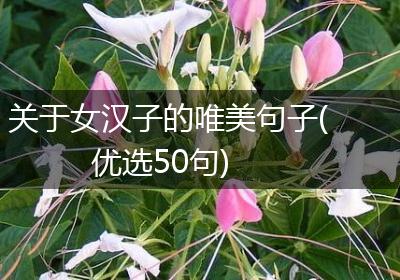 关于女汉子的唯美句子(优选50句)
